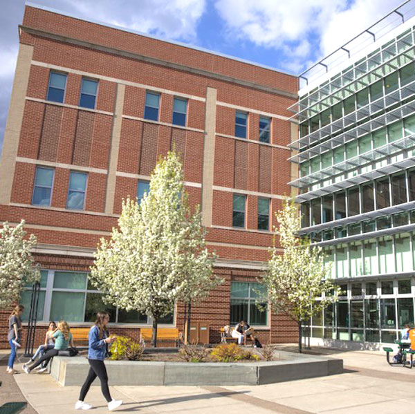 Binghamton Üniversitesi